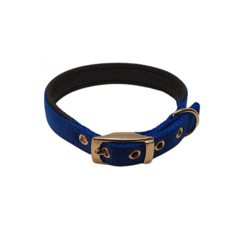 Nylon Padded Collar (Blue)