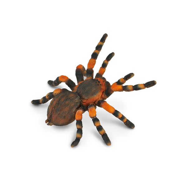 CollectA Red Knee Tarantula Figure (Large)