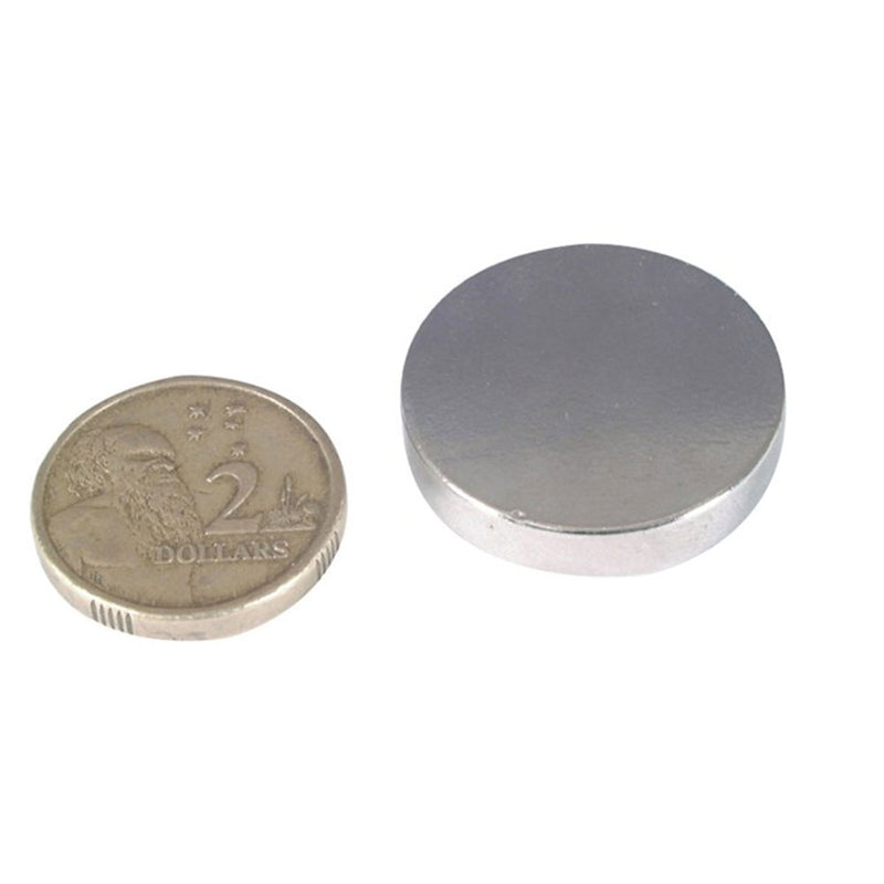 Rare Earth Magnet (Medium)