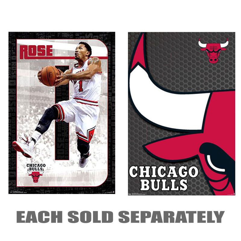 NBA Chicago Bulls Poster