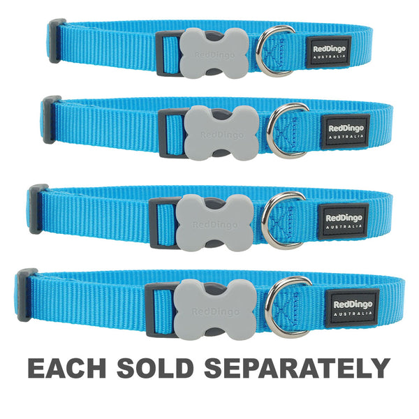 Classic Dog Collar (Turquoise)